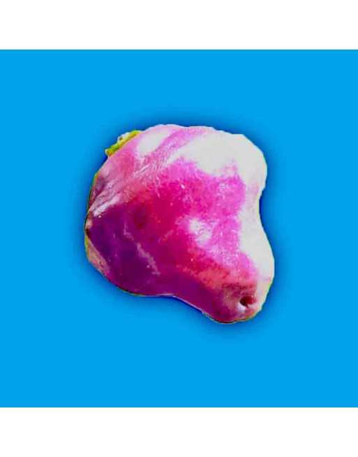 Cheiro Roxa Séché Brazilian Hot Pepper, South American  Pepper Seeds - [ Shop Canadian Seeds Online ]  - Pepper Seeds - 