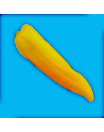 Marconi Golden Yellow Pepper, Sweet Pepper Seeds - [ Seed2Go.ca ] - [Seed Packets] - Pepper Seeds - 
