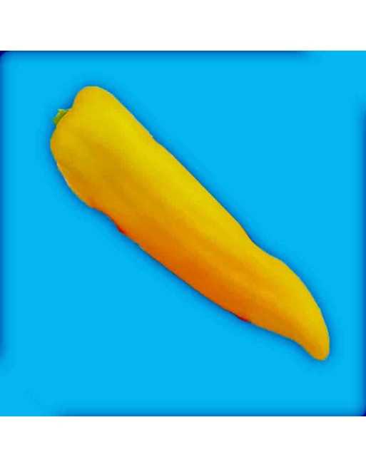 Marconi Golden Yellow Pepper, Sweet Pepper Seeds - [ Seed2Go.ca ] - [Seed Packets] - Pepper Seeds - 