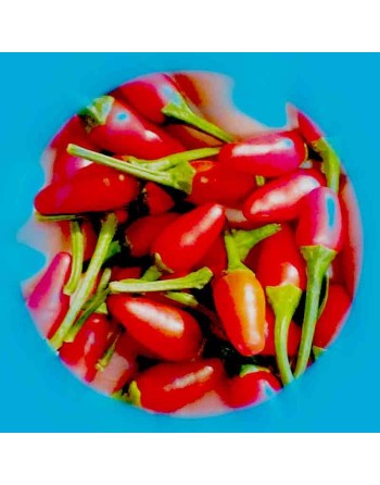 Thai Dragon Hot Pepper, Thailand  Pepper Seeds - [ Shop Canadian Seeds Online ]  - Pepper Seeds - 