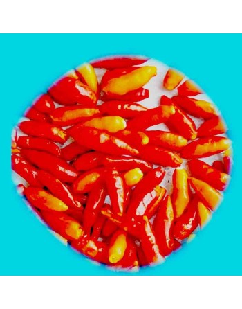 Tabasco Pepper, Original, Tabasco Mexico, Create Tabasco Sauce, Very Hot Pepper Seeds - [ Shop Canadian Seeds Online ]  - Pepper