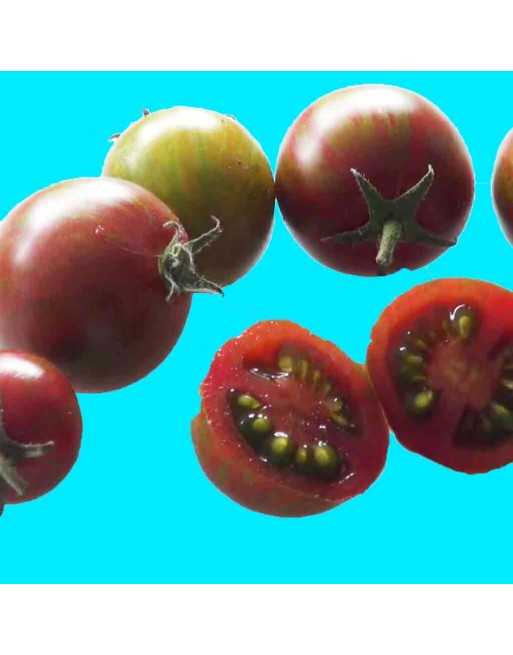 Black Green Zebra Cherry Tomato Seeds, Globe, Organic - [ Shop Canadian Seeds Online ]  - Grape & Cherry Tomatoes - 