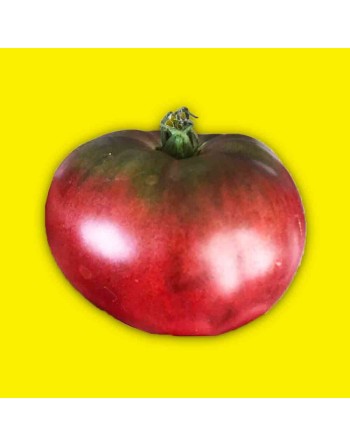 Black Krim Heirloom Tomato Seeds, Organic, Russian - [ Shop Canadian Seeds Online ]  - Tomato Seeds - 
