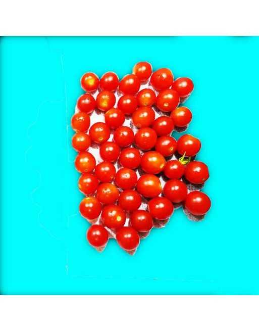 Super Sweet 100 F1 Cherry Tomato Hybrid, Tomato Seeds, - [ Shop Canadian Seeds Online ]  - Grape & Cherry Tomatoes - 