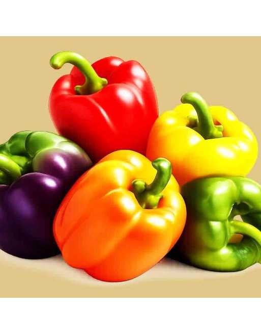 Super Bell Pepper Mix, Green, Orange, Golden Yellow, Red, Chocolate, Purple Pepper Seeds - [ Shop Canadian Seeds Online ]  - Pep