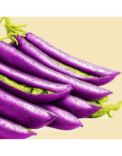 Purple Super Snap Pea, Dwarf Blauwschokkers, Pea Seeds - [ Shop Canadian Seeds Online ]  - Bean/Pea - 