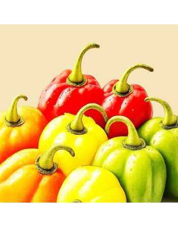 Habanero Pepper Mix: Chocolate, White, Green, Red, Orange, Yellow, Pepper Seeds - [ Shop Canadian Seeds Online ]  - Pepper Seeds