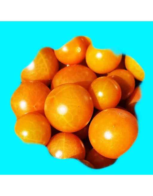 Isis Candy, Bi-Colour Cherry, Cherry Tomato Seeds, Sweet & Fruity - [ Seed2Go.ca ] - [Seed Packets] - Grape & Cherry Tomatoes - 