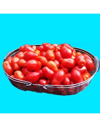 Roma VF Tomato, Italian Plum Tomatoes, Canning Tomato Seeds - [ Seed2Go.ca ] - [Seed Packets] - Tomato Seeds - 