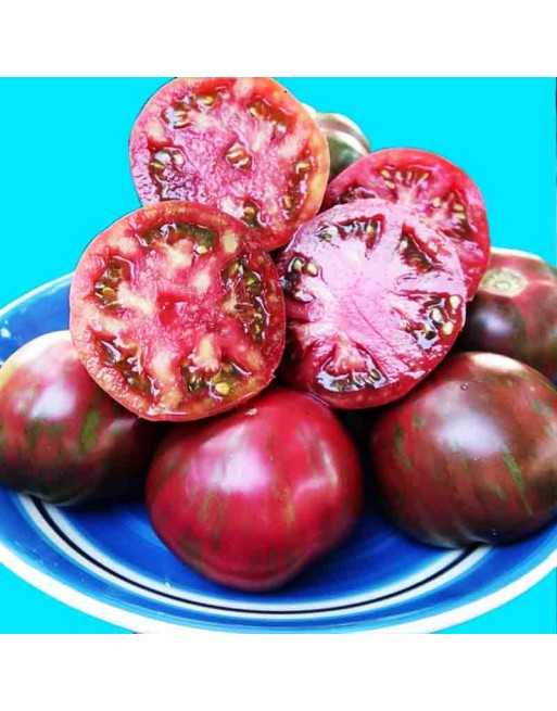 Pink Boar Slicing Tomato Seeds, Organic, North American - [ Shop Canadian Seeds Online ]  - Tomato Seeds - 