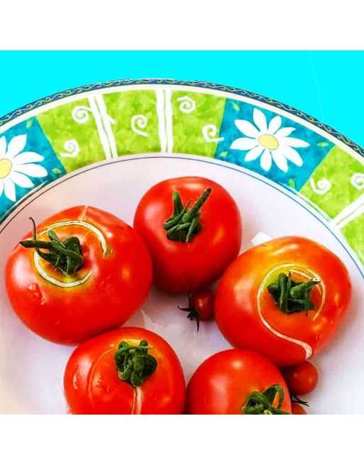 Cousin Matina Paste Tomato, Austrian Origin, Tomato Seeds - [ Seed2Go.ca ] - [Seed Packets] - Tomato Seeds - 