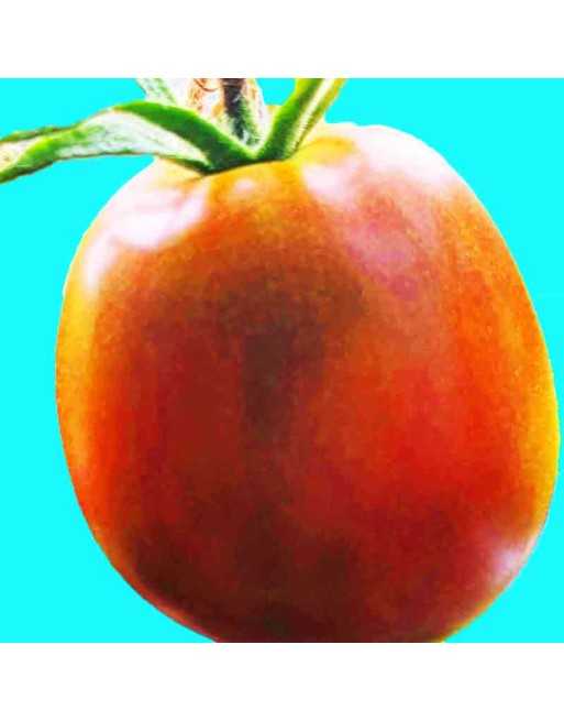 Japanese Black Trifele ORG Tomato Seeds, Raw Sauce - [ Seed2Go.ca ] - [Seed Packets] - Tomato Seeds - 