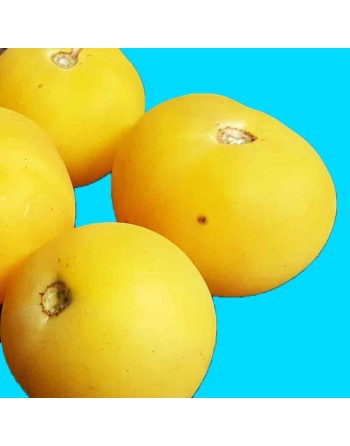 Garden Peach Tomato, South American, Peru, Tomato Seeds