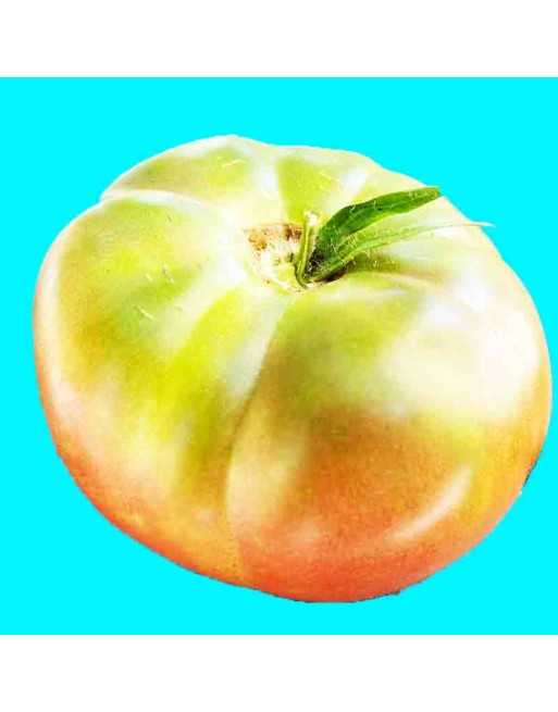 Black Pineapple Heirloom Tomato Seeds, Rare, Slicer Heirloom - [ Shop Canadian Seeds Online ]  - Tomato Seeds - 