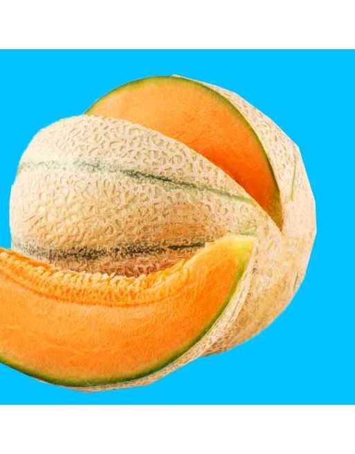 Delicious 51 Early Melon, Sweet, Cantaloupe Seeds - [ Shop Canadian Seeds Online ]  - Melon - 