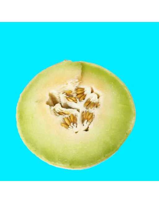 Honey Dew Melon, Honeydew, Bailan Melons, Melon Tuna, Prickly Pear Melon Seeds - [ Shop Canadian Seeds Online ]  - Melon - 