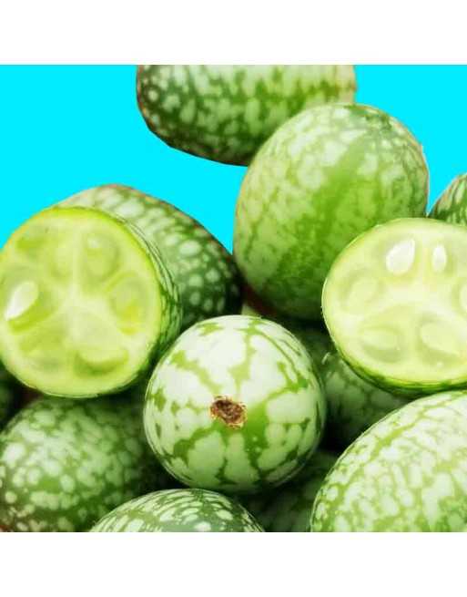 Sandia De Raton Sour Gherkin Cucumber, Mouse Melon, South American - [ Seed2Go.ca ] - [Seed Packets] - Cucumber - 