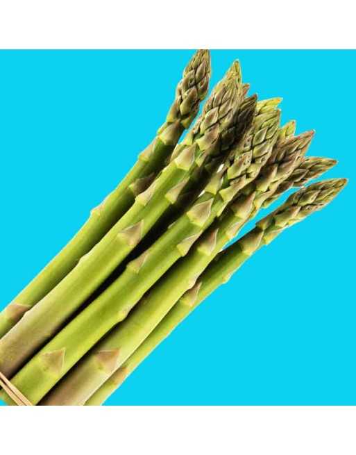 Old Fashioned Mary Washington Asparagus Seeds, Vegetables - [ Seed2Go.ca ] - [Seed Packets] - Asparagus - 