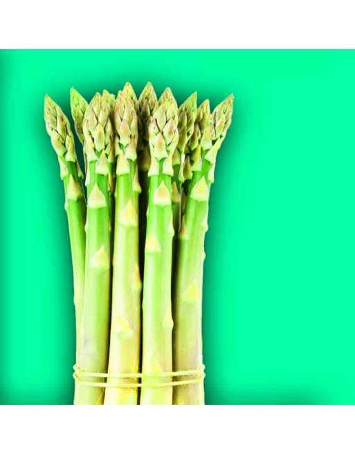 'Early Argenteuil' Asparagus Seeds, Precoce D'Argentuil - [ Seed2Go.ca ] - [Seed Packets] - Asparagus - 