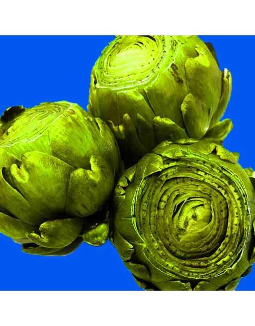 Green Globe Artichoke, Carciofo Verde, Artichoke Seeds - [ Shop Canadian Seeds Online ]  - Artichoke - 