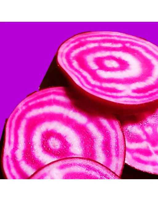 Chioggia Candy Cane Beet, Italy, Premium Beet Seeds - [ Shop Canadian Seeds Online ]  - Beet - 