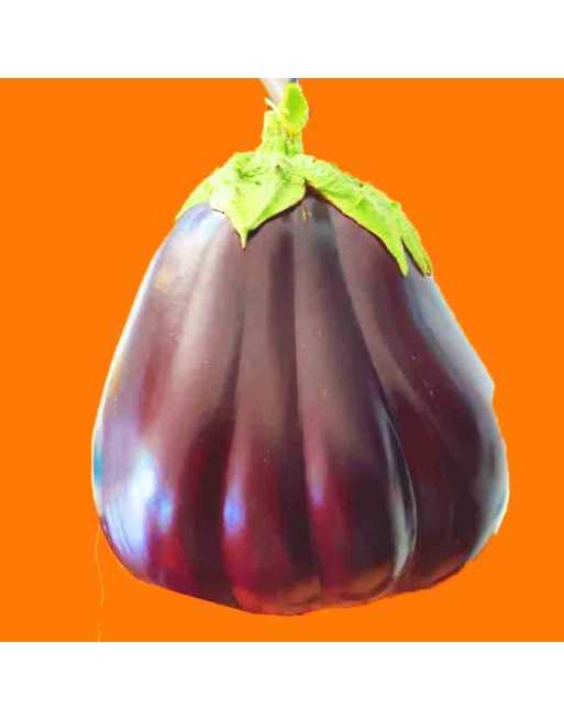 Black Beauty Eggplant, ​Belezza Nera o Black Beauty - [ Shop Canadian Seeds Online ]  - Eggplant - 