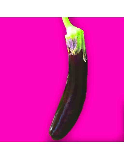 Little Fingers Purple Eggplant, Asian, Yamagata - [ Shop Canadian Seeds Online ]  - Eggplant - 