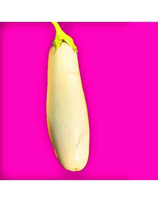 White Indian Eggplant Seeds, India and Bangladesh - [ Shop Canadian Seeds Online ]  - Eggplant - 