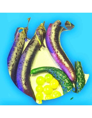 Aubergine Long Purple Italian Eggplant, Berenjena, Violetta Lunga 2 - [ Shop Canadian Seeds Online ]  - Eggplant - 