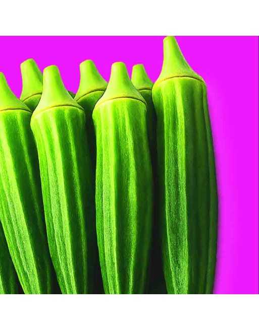 Okra Jambalaya, Hybrid Okra Seed - [ Shop Canadian Seeds Online ]  - Okra - 