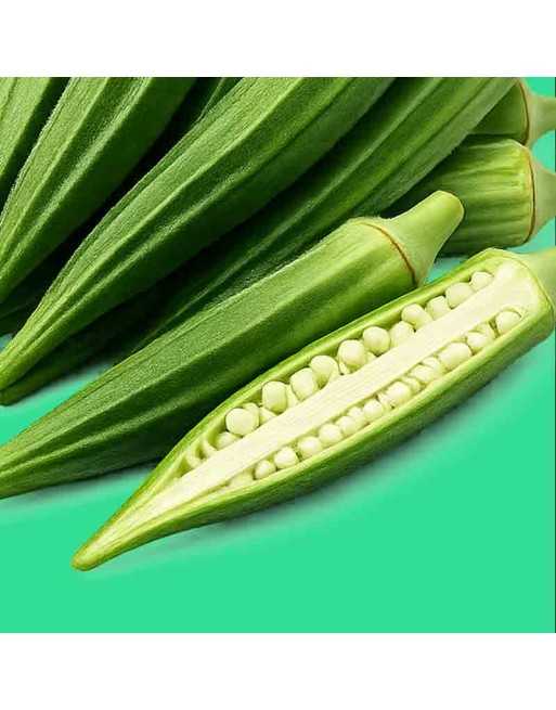 Clemson Spineless Okra Seeds, Bhindi, Bamia, Gumbo, Africa - [ Shop Canadian Seeds Online ]  - Okra -