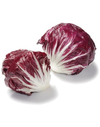 Radicchio, Palla Rossa Precoce Sirena, Chicory Seeds - [ Shop Canadian Seeds Online ]  - Chicory - 