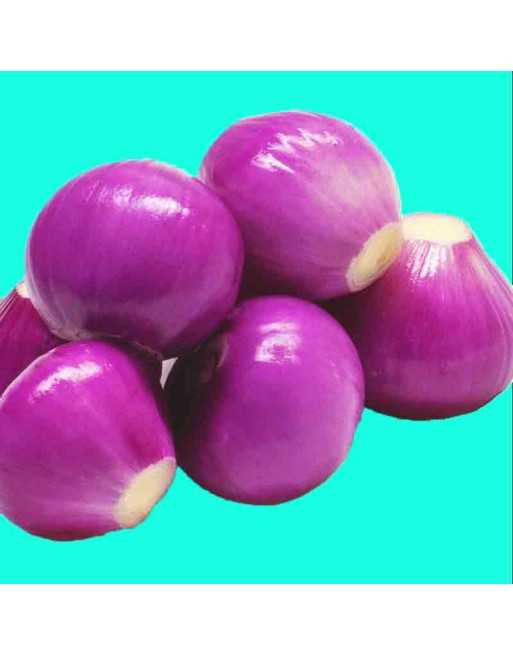 Red Pickled Pearl Onion Seeds, Pickling Onion - [ Shop Canadian Seeds Online ]  - Onion - 