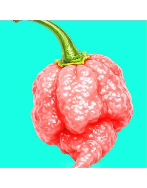 7Pot Pink Pepper, Super Hot Pepper Seeds - [ Shop Canadian Seeds Online ]  - Pepper Seeds - 