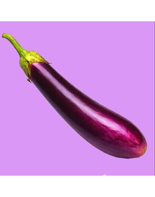 Aubergine Long Purple Italian Eggplant, Berenjena, Violetta Lunga 2 - [ Shop Canadian Seeds Online ]  - Eggplant - 