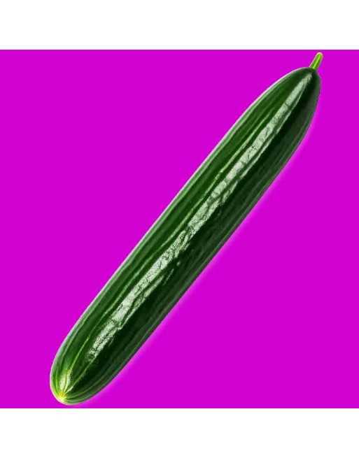 Premium English Telegraph, Long Pickling Cucumber Seeds - [ Shop Canadian Seeds Online ]  - Cucumber - 