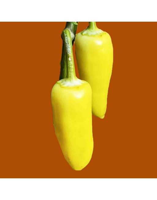 Yellow Jalapeño, Lemon Spice Yellow Pepper Seeds - [ Shop Canadian Seeds Online ]  - Pepper Seeds -