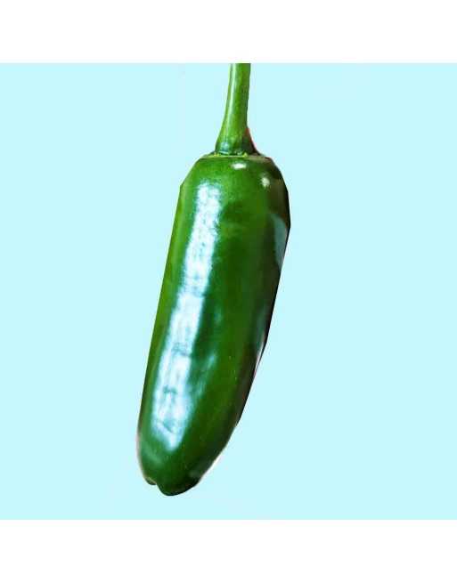 Green Jalapeño Hot Pepper Seeds, Green Chili - [ Shop Canadian Seeds Online ]  - Pepper Seeds - 