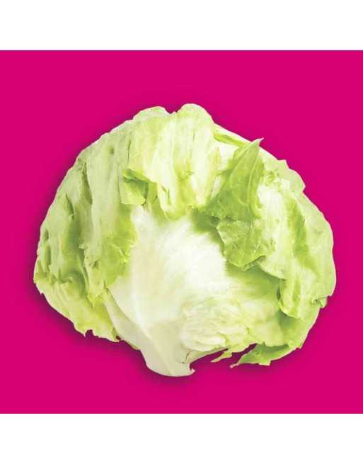 Great Lakes Iceberg Lettuce Seeds, Heirloom, Crisphead Lettuce - [ Shop Canadian Seeds Online ]  - Lettuce - 