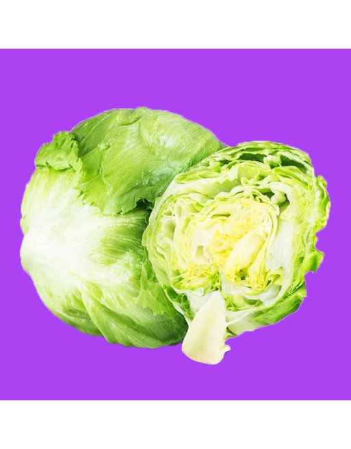Early Iceberg Kaiser Crisphead Lettuce Seeds, Iceberg - [ Shop Canadian Seeds Online ]  - Lettuce - 