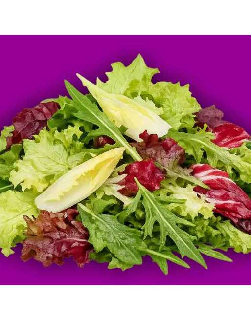 Spring Mix, Lettuce Mix, Cutting Lettuce, Mix of Chicory, Endive, Erba Stella(Star Grass) & Lettuce - [ Shop Canadian Seeds Onli