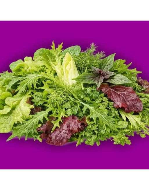 Italian Spiced Spring Lettuce Mix Seeds - [ Shop Canadian Seeds Online ]  - Lettuce - 