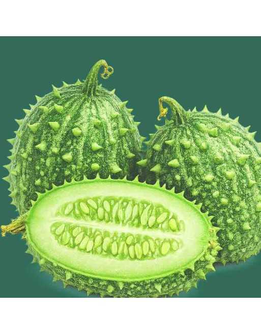 West Indian Gherkin Cucumber Seeds, Cucumis Anguria, Africa & South America - [ Shop Canadian Seeds Online ]  - Cucumber - 