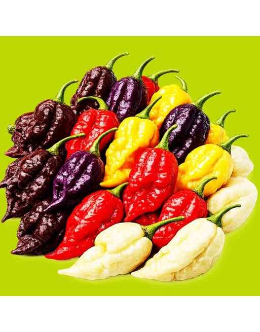 Mix of Carolina Reaper Peppers, White, Red, Yellow, Chocolate, Purple - [ Shop Canadian Seeds Online ]  - Pepper Seeds - 