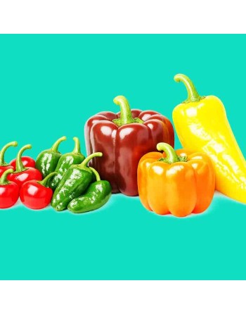 Sweet Pepper Mix: Red Cherry, Padron, Chocolate Bell, Yellow Bull Horn, Bright Orange Bell Pepper Seeds