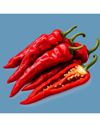 Jimmy Nardello Italian Pepper, Frying Pepper, Sweet Pepper Seeds - [ Shop Canadian Seeds Online ]  - Pepper Seeds - 