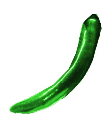 Serrano Tampiqueño Pepper, Original, Very Hot, Mexico - [ Shop Canadian Seeds Online ]  - Pepper Seeds - 