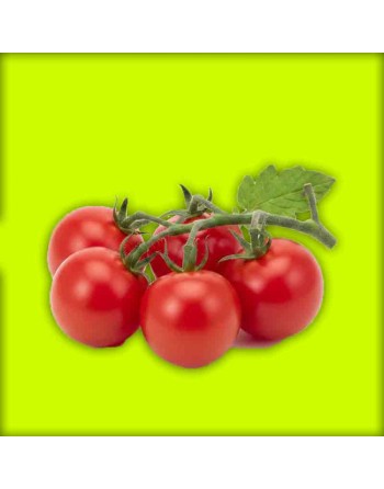 Sweet Millions Cherry Tomato, Super Sweet Cherry Tomato Seeds - [ Shop Canadian Seeds Online ]  - Grape & Cherry Tomatoes - 