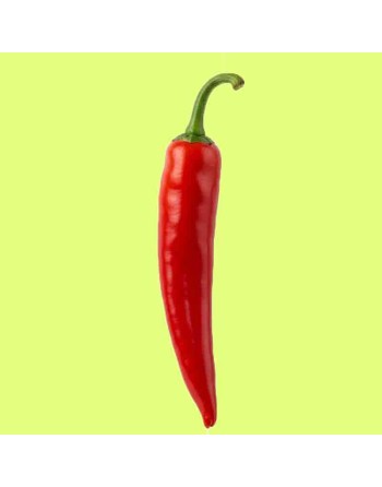 Korean 홍고추 Hong Gochu Sweet Pepper, Snack Pepper Seeds - [ Shop Canadian Seeds Online ]  - Pepper Seeds - 