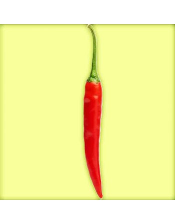 Chile de Arbol, Mexican Pepper Seeds, Birds Beak, Rat's Tail, Tree Chili - [ Shop Canadian Seeds Online ]  - Pepper Seeds - 